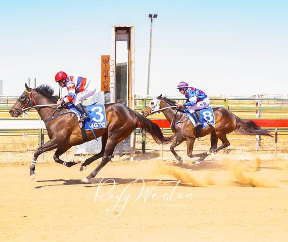 Winton Races